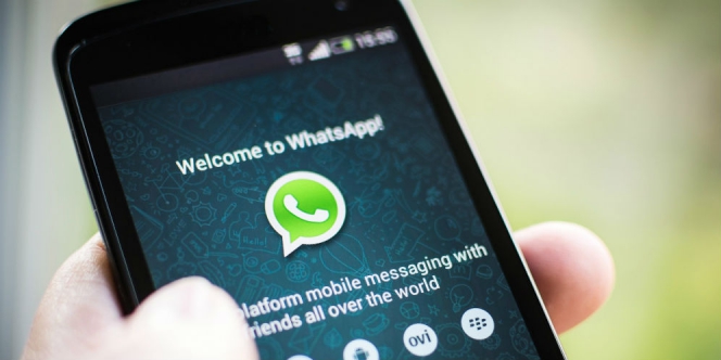 Wow, WhatsApp Bakal Punya Fitur Transfer Uang
