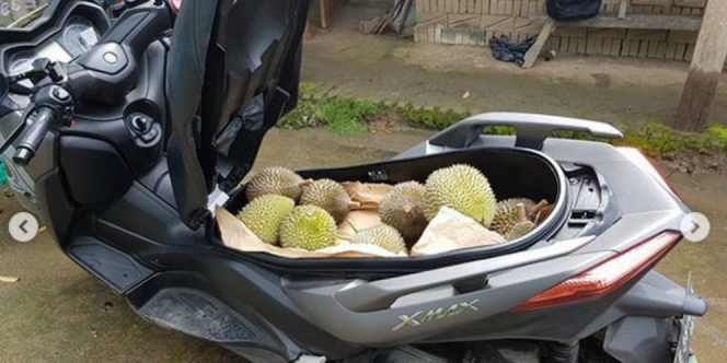 Gokil, Sepeda Motor Rp55 Juta Dipakai Angkut Durian