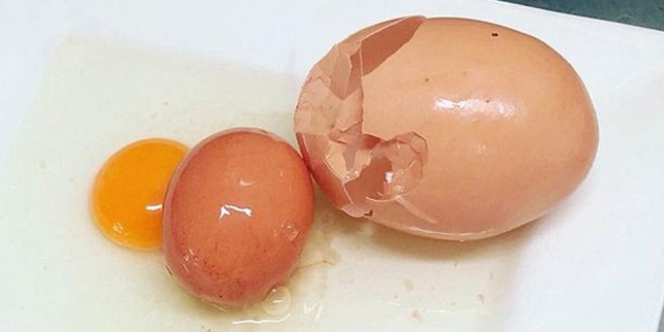 Langka Ada Telur Dalam Telur, Ilmuwan Sampai Keheranan