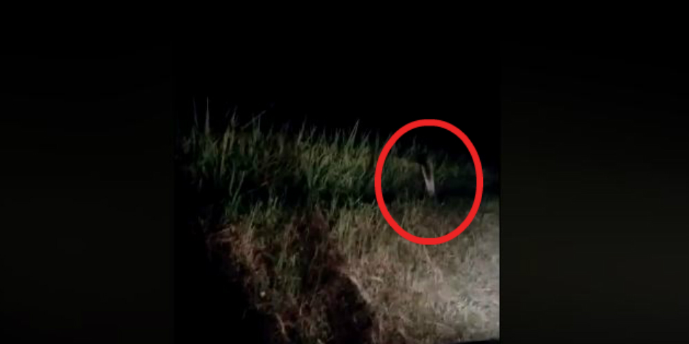 8300 Animasi Hantu Pocong Bergerak HD Terbaik