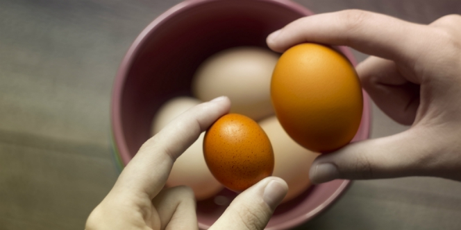 Telur Sudah Berdarah, Bolehkah Dimakan?