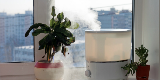  Udara  di  Kamar  Lebih Sehat dengan Humidifier Dream co id