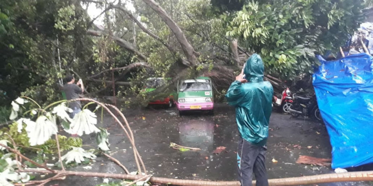 Video Puting Beliung Terjang Kota Bogor Pohon Timpa Mobil