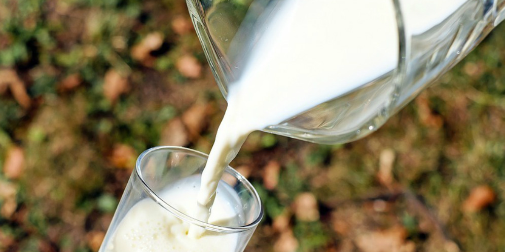 Jangan Asal Pilih, Ini Keunggulan Susu Pasteurisasi