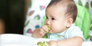 Protein Hewani, Kunci Mencegah Stunting Pada Anak