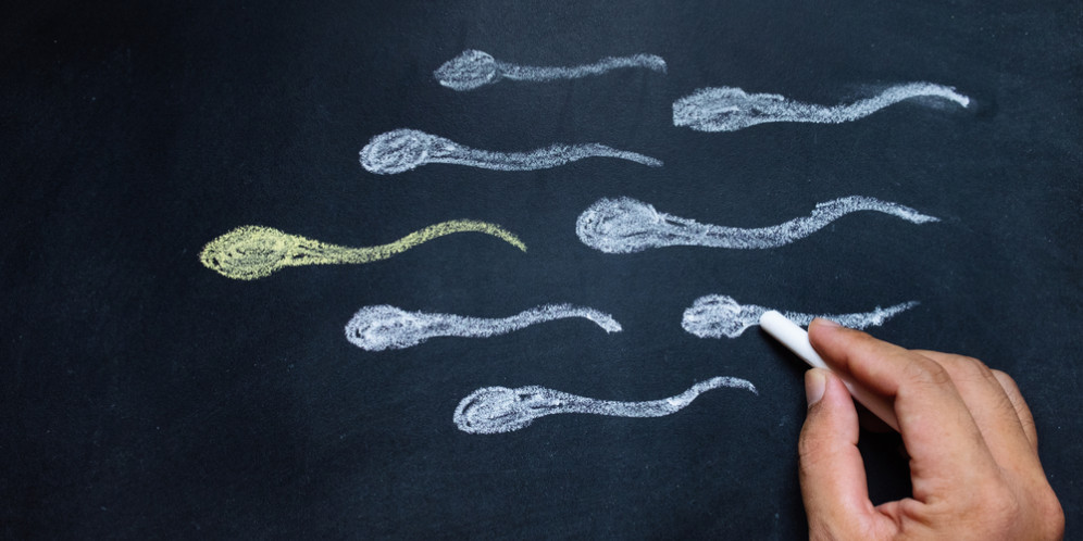 Begini Cara Meningkatkan Jumlah Sperma secara Alami