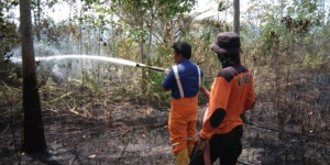 296 Orang dan 9 Perusahaan Jadi Tersangka Kebakaran Hutan