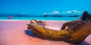 Deretan Pantai Menarik Dunia dengan Pasir Warna Pink