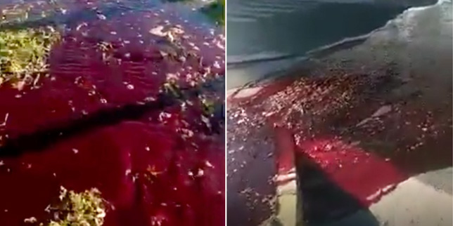 Video Tanah di Turki 'Muntahkan Darah' Usai Terjadi Gempa Dahsyat