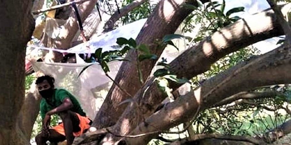 Beredar Video Isolasi Mandiri di Atas Pohon, Demi Tak Tulari Keluarga