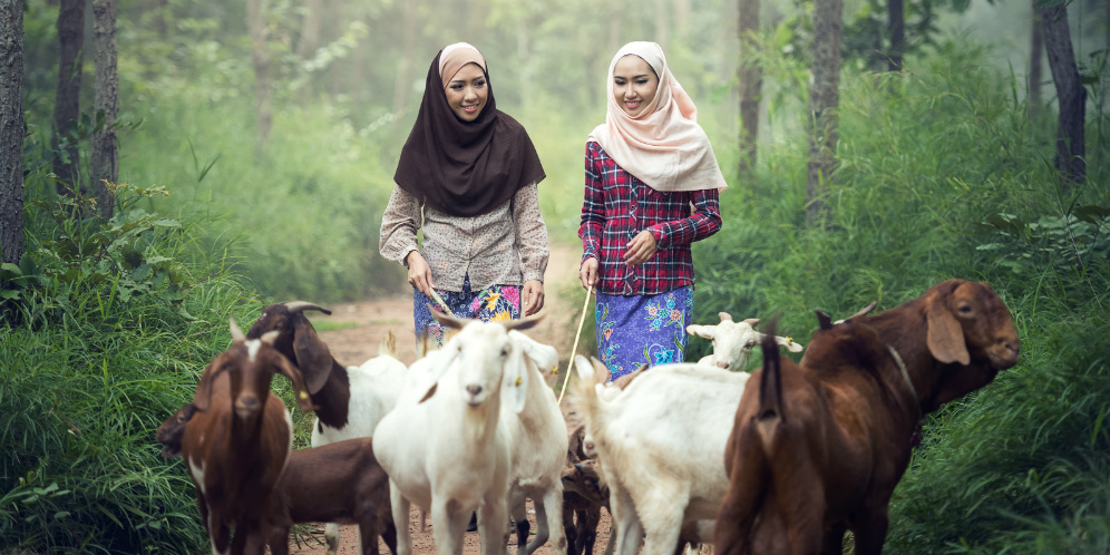 1,5 Bulan Lagi Idul Adha, Ini Cara Siapkan Dana Beli Hewan Kurban