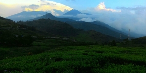 Gunung Gede Pangrango Belum Dibuka Untuk Pendakian
