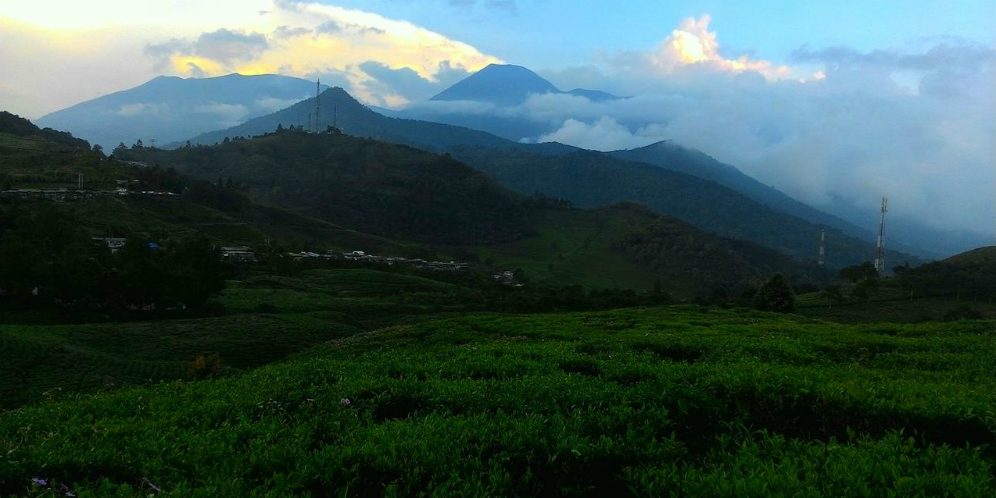 Gunung Gede Pangrango Belum Dibuka Untuk Pendakian