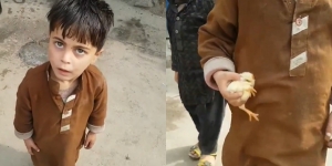 Video Bocah Kantongi Anak Ayam Ini Jadi Postingan Paling Menggemaskan