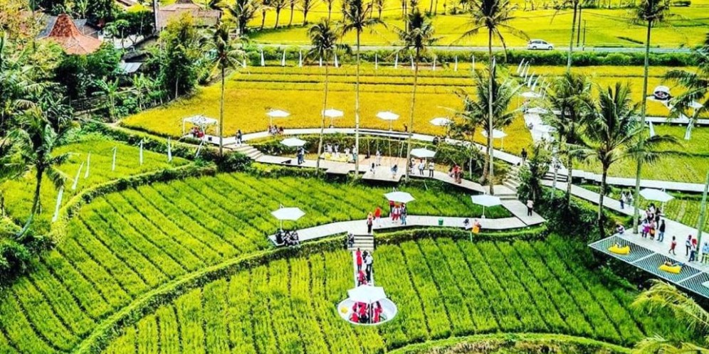 Viral Objek Wisata di Tengah Sawah Dekat Candi Borobudur