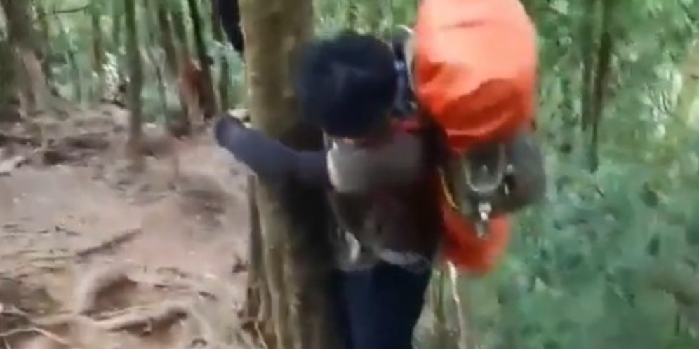 Video Viral Babi Liar Geruduk Para Pendaki Gunung di Garut