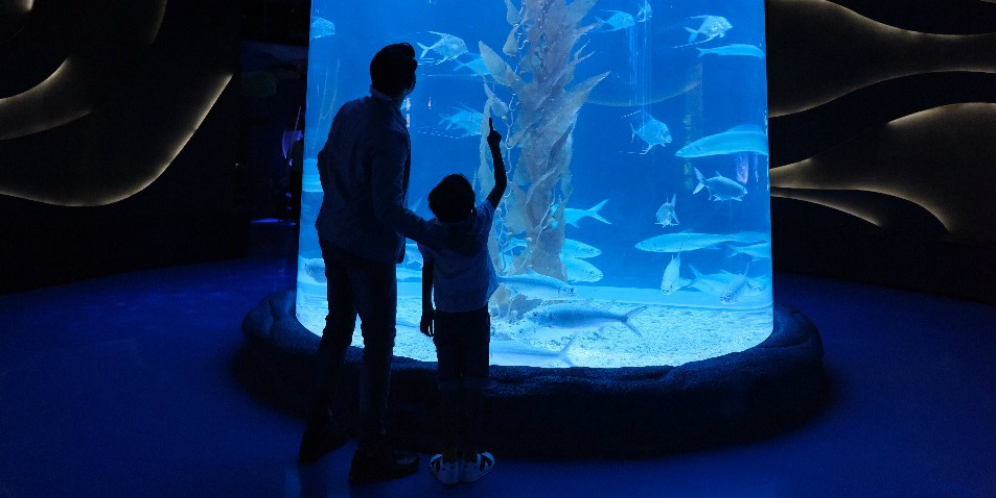 Merayakan Akhir Tahun dengan Konsep Baru Jakarta Aquarium