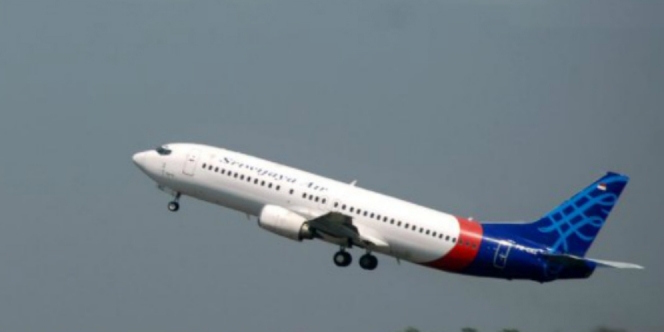 Pesawat Sriwijaya Air SJ182 Angkut 50 Penumpang, 3 di Antaranya Masih Bayi