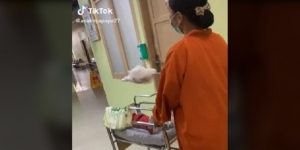 Viral Video Bidan Rawat Anak Mantan, Ketegarannya Dipuji Netizen