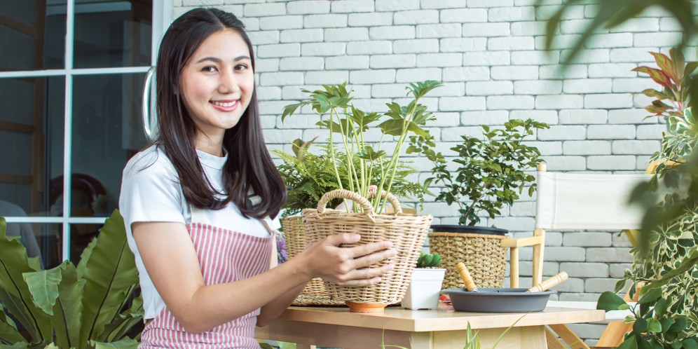 Pilih Ukuran dan Jenis Pot yang Tepat untuk Tanaman Hias