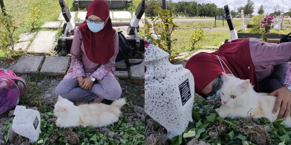 Istri Bawa Hewan Kesayangan ke Makam Suami, Kucing Ini Sedang Melepas Rindu