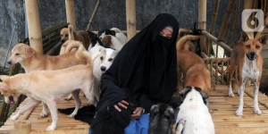 Muhammadiyah Soal Muslimah yang Dipersekusi Gegara Rawat Anjing
