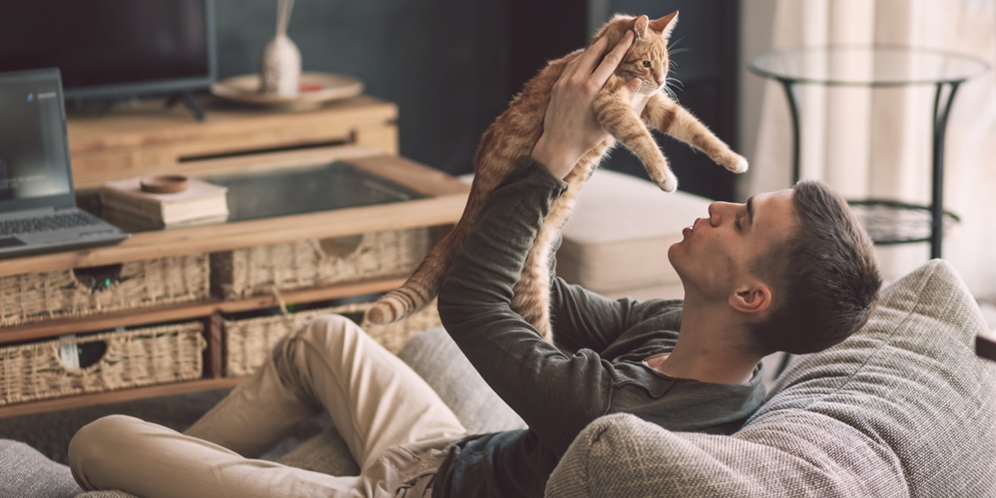 Hidup Bersama Kucing, 5 Hal ini Hanya Bisa Dipahami oleh Pemiliknya