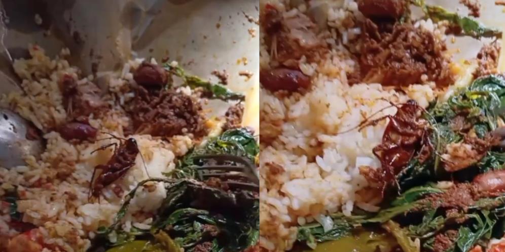 Viral, Makan Nasi Padang Temukan Rambut, Saat Ditarik Ternyata Kumis Kecoak