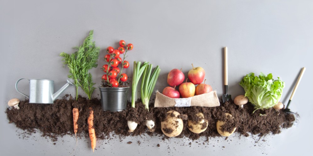 Upaya Peduli Lingkungan dengan Konsumsi Makanan Organik