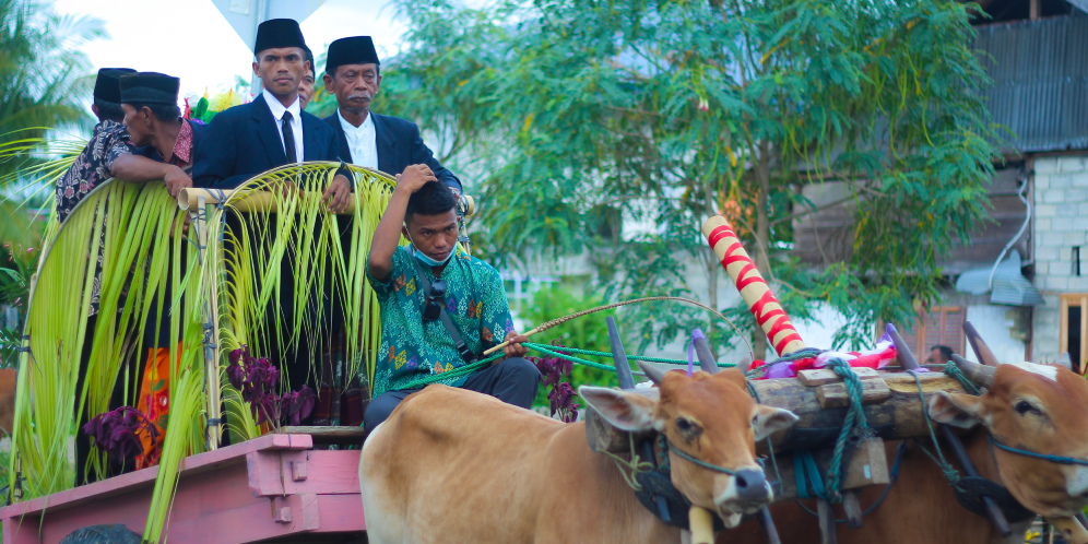 Gerobak Boti, Tunggangan Pengantin di Sulawesi Tengah