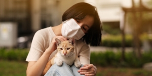 Solusi Tepat Atasi Kulit Kucing Bersisik, Gara-Gara Udara Indoor yang Kering