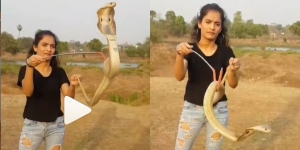 Viral Gadis Cantik Penakluk King Cobra, 'Nagin si Ratu Ular'