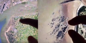 Video Misteri Kerangka Ular Raksasa Terekam Google Earth Akhirnya Terungkap