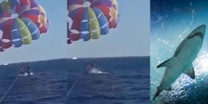 Video Detik-Detik Mengerikan Kaki Pria Diterkam Ikan Hiu Saat Paragliding