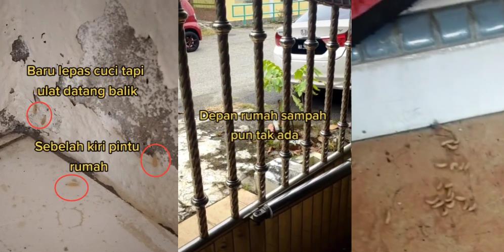 Merinding Muncul Ulat Tanpa Sebab di Rumah, Dibersihkan Berkali-kali Ada Lagi!