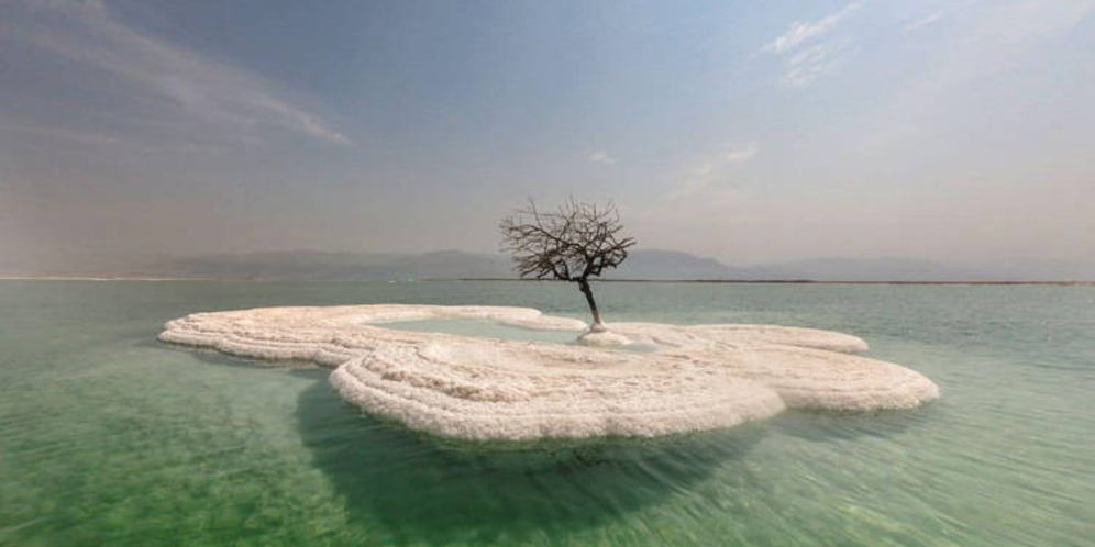 'Pohon Kehidupan', Satu-satunya Tumbuh di Tengah Laut Mati