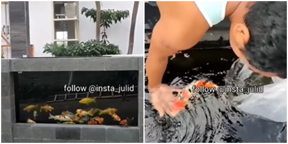 Kreatif Banget, Pemilik Rumah Ini Buat Pagar dari Kolam Ikan Koi