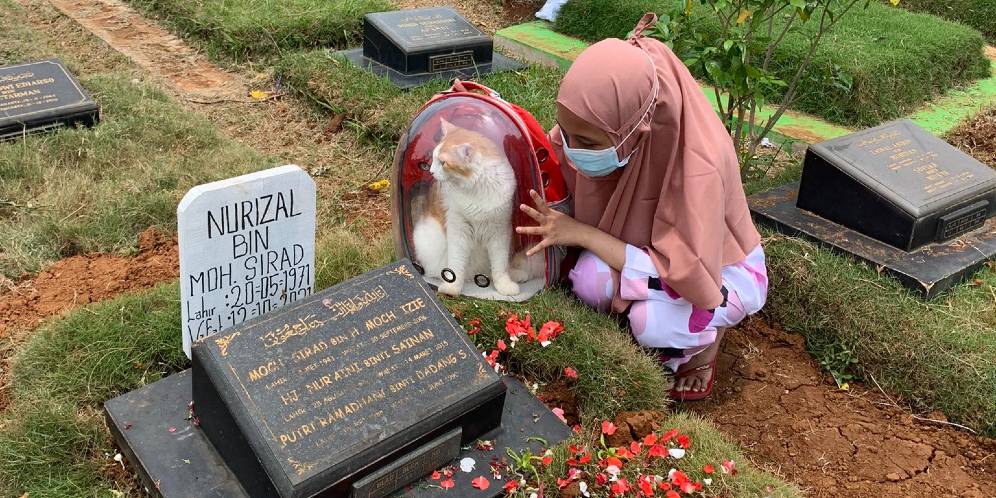 Cerita Haru Kucing yang Dibawa Ziarah ke Makam Pemiliknya