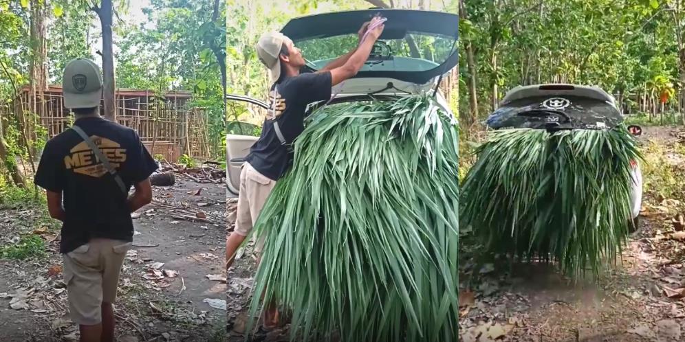 Bukan untuk Ngojek atau ke Kantor, Honda Brio Malah Dipakai Buat Cari Rumput