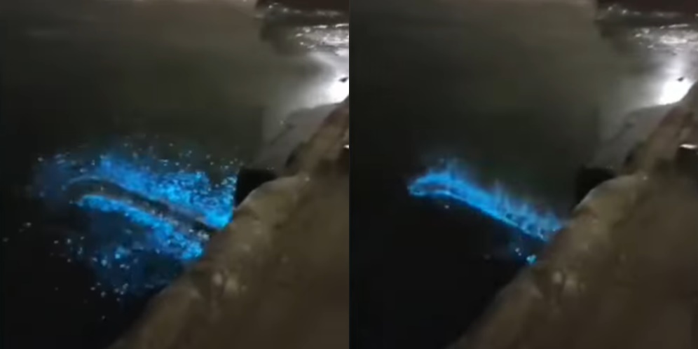 Penjelasan Ilmiah Video Viral Air Laut Menyala Biru Saat Dilempar Sesuatu