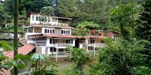 7 Potret Mengenaskan Hotel Bak Istana Seluas 15 Hektare Terbengkalai di Tengah Hutan