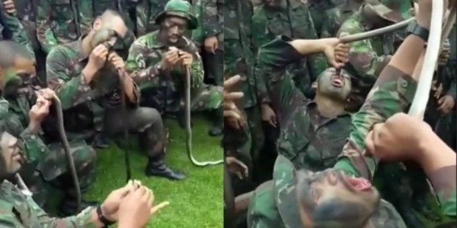 Aksi Prajurit TNI Latihan Survival Bikin Bergidik: Makan Ular Hidup-hidup Sambil Minum Darahnya