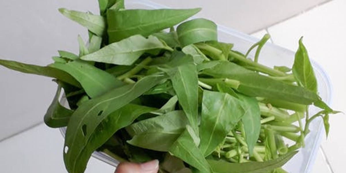 6 Manfaat Sayur Kangkung Untuk Diet Beserta Efek Samping Mengonsumsinya