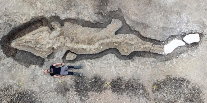 Fosil 'Naga Laut' Raksasa dengan Tengkorak Seberat 1 Ton Ditemukan, Hidup 250 Juta Tahun Silam