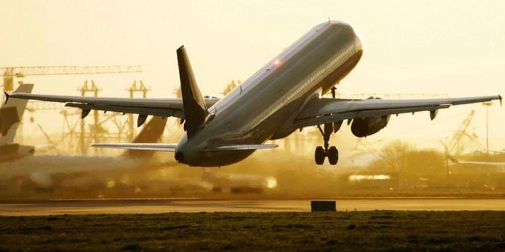 Ajaib! Penumpang Gelap Menggantung di Roda Depan Pesawat, Begini Kondisinya Setelah 11 Jam Penerbangan