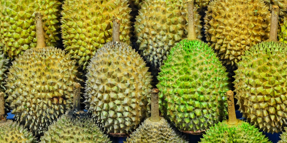Viral Kasus Durian Kosong di Pasuruan, Begini Nasib Penjualnya