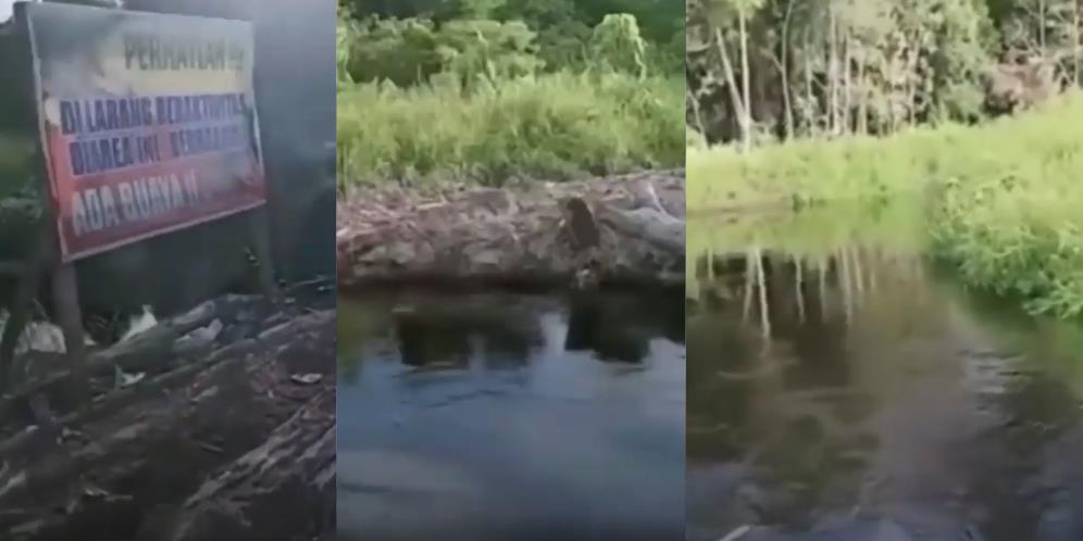 Seram! Detik-detik Petani Diserang Buaya di Kalimantan Utara, Sempat Teriak 'Uy' Sebelum Diseret Ke Kedalaman Sungai