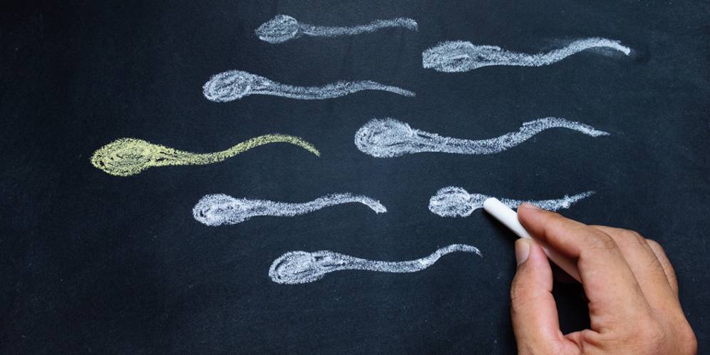 Seberapa Besar Efek Rokok Pada Kualitas Sel Sperma? Cari Tahu Faktanya