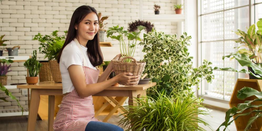 Trik Siram Tanaman Pakai Ponsel Biar tetap Segar Saat Mudik