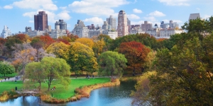 Pilihan Taman di New York City yang Bisa Kamu Singgahi